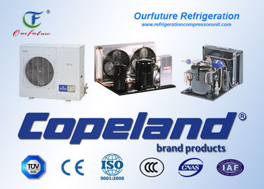 15 - 90 HP پیمایش یکپارچه کمپرسور اتاق سرد سرد Copeland Hermetic